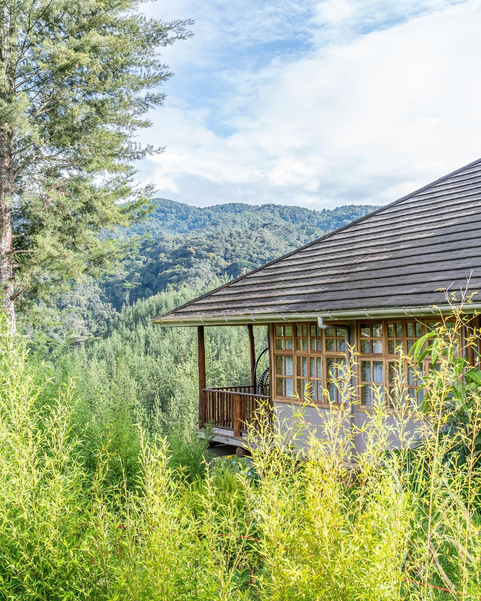 Gorilla Leisure Lodge Kisoro Eksteriør bilde